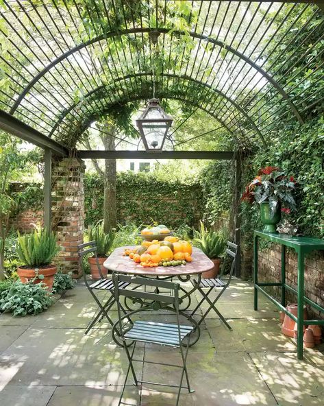 Vine Structure, Tall Trellis, Tall Garden Trellis, Garden Trellis Ideas, Building A Trellis, Tomato Trellis, Trellis Ideas, Entry Ways, Green Gate