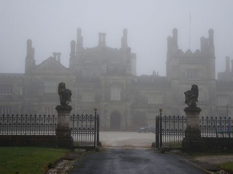 gothic mansion surrounded by fog Boarding School Aesthetic, Mansion Homes, Wammy's House, Little Dorrit, Foggy Weather, Foggy Day, The Infernal Devices, Dark Academia Aesthetic, The Secret History