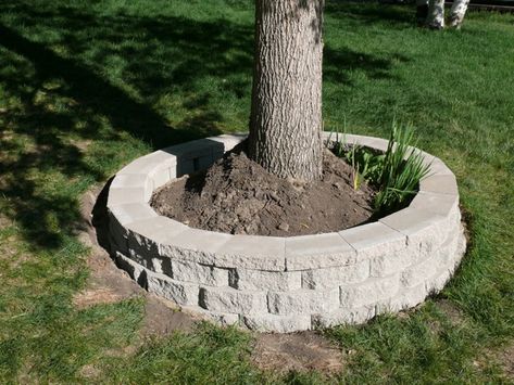 I began by removing the stacked limestone around an ash tree in the front yard and built a ring. Lawns Landscaping, Backyard Entertaining Space, Outdoor Hacks, Trees For Front Yard, Landscaping Around Trees, Front Yards Curb Appeal, Lawn Alternatives, Patio Pavers Design, Landscaping Retaining Walls