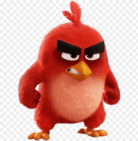 Angry Brids, Angry Status, Angry Images, Red Angry Bird, Background Png Images, Surya Actor, Bad Pic, Status For Whatsapp, Bad Image