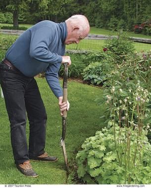 Grass Edging, Perfect Edges, Flower Bed Edging, Aerate Lawn, Landscape Edging, Fine Gardening, Lawn Edging, Edging Ideas, Garden Edging