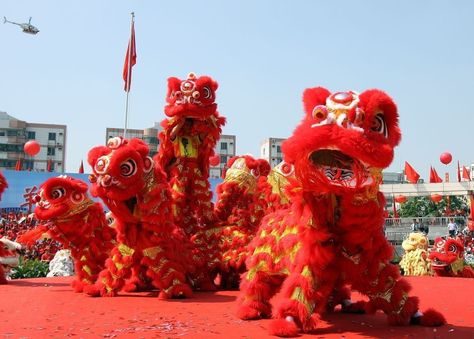 Business Opening, Chinese Lion Dance, Chinese Lion, Random Designs, Lion Costume, Wedding Ceremony Traditions, Dragon Dance, Lion Dance, Traditional Dance