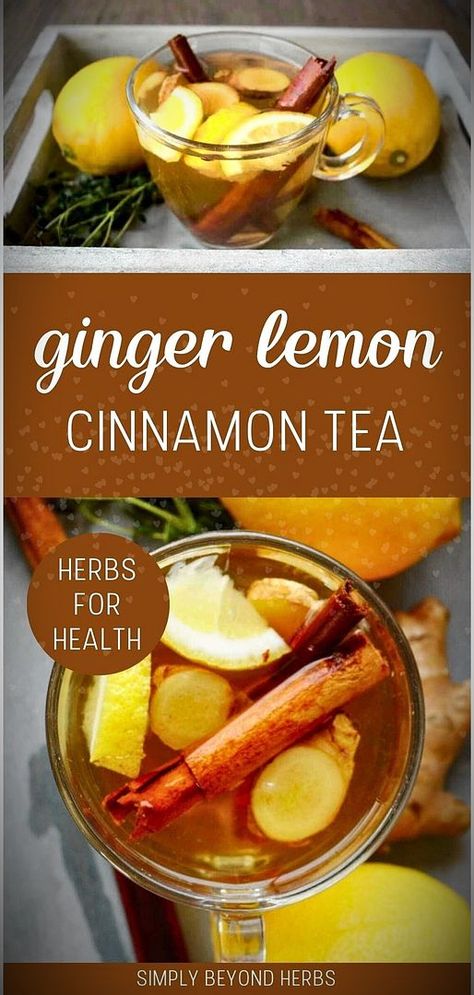 Discover our Ginger Lemon Cinnamon Tea Recipe in the Herbs for Health & Healthy Herbs category. This warming tea is perfect for those seeking natural remedies to improve health and immunity. Each ingredient is chosen for its long-standing medicinal properties. Ideal for enthusiasts of natural health and herbal tea remedies. Visit simplybeyondherbs.com for more herbalism recipes. Diy Lemon Ginger Tea, Ginger Tea With Ground Ginger, Ginger Tea From Powdered Ginger, Cinnamon Lemon Peel Ginger Tea, Ginger And Lemon Drink, Orange Ginger Tea Recipe, Lemon Ginger Tea Aesthetic, Cinnamon Orange Tea, Diy Ginger Tea