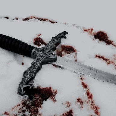 Blood On Snow, Half Elf, Targaryen Aesthetic, My Pillow, Avicii, Fantasy Aesthetic, Throne Of Glass, High Fantasy, Elder Scrolls