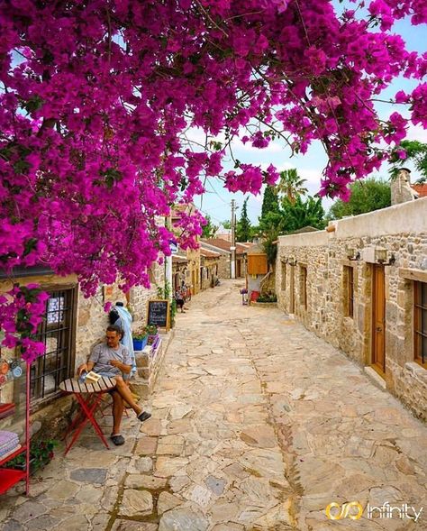 🇹🇷DATÇA/MUĞLA/TURKEY #turkey#weloveturkey#travel#holiday#tourism#amazing#visit#visiting#amazing#beautifuldestinations#weloveturkey#love#like#happy#visitturkey#follow#cool#life#lover#forever#vacation#travelist#bestoftheday#charming#datça#muğla#beautifulhouses Bougainvillea, Wanderlust Travel, Christmas Wishlist, Native Plants, Wonderful Places, Travel Around The World, Travel Around, Google Chat, Dolores Park