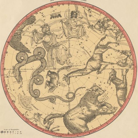 The Constellations for Each Month of the Year - Atlas of the Heavens, Elijah Burritt 1856a Map Of The Stars, Celestial Chart, Stars Constellations, Celestial Map, Constellation Map, Constellation Tattoos, Star Chart, Star Constellations, Star Map