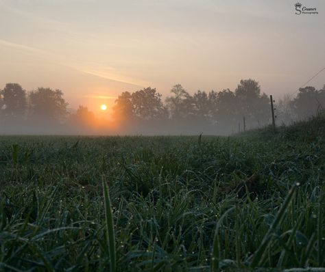 Seasons Changing, Summer Morning, Morning Dew, Production Design, Dew Drops, Stunning Photography, Morning Light, Photo Reference, Aliens