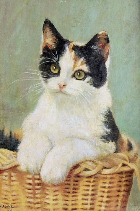 Calico Cat Drawing, Basket Painting, Cat In Basket, Calico Cats, Calico Kitten, Dream's Cat, Love Cat, Cat Artwork, Painting Home