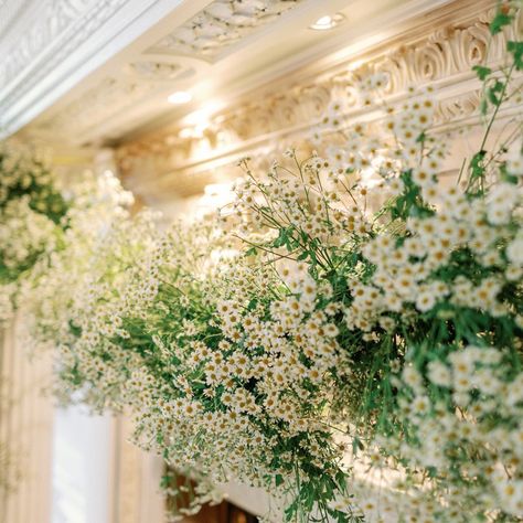 The biggest daisy chain we ever made! #daisies #daisychain #floralinstallation #fineartflowers #floralart #artinstallation Daisy Wedding Decorations, Daisy Wedding Theme, Daisy Wedding Flowers, Themed Wedding Decorations, Church Wedding Decorations, Daisy Wedding, Yellow Daisies, Madison Park, Wedding Arrangements