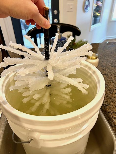 How to Make Christmas Trees with Borax - Perfecting Places Borax Crystal Snowflakes, Christmas Trees From Recycled Materials, Boxwood Christmas Tree, Borax Ornaments Christmas, Borax Christmas Ornaments, Christmas Tree With Crystals, How To Make Christmas Ball Clusters, Christmas Tree Branch Ideas, Diy Table Top Christmas Tree Ideas