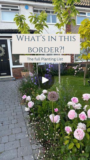 344K views · 11K reactions | Watch until the end for the trees featured here ☺️. My front garden border, measuring just 60cm in depth but I’ve packed in some goodies which give such a long period of seasonal interest! These are all things you can plant now, so save this video and look out for them at your next garden centre trip!

What do you think?! Is sharing planting lists like this helpful? Let me know 🥹🫶

The only plants not featured in the video are phlomis, phlox and echinacea (because the video was too long 🙃)

#gardening #gardendesign #gardeninglife #gardeningideas #gardeninguk #frontgarden #newgarden #smallgarden #gardeningforbeginners #beginnergardening | Rebecca Firman Garden Design 🌿 | Ophelia Wilde · the cottage Front Border Plants, Narrow Border Gardens Along Fence, Narrow Garden Border Ideas, Echinacea Landscaping, Garden Border Design Ideas, Front Gardens Uk, Front Garden Planting Ideas, Front Garden Border, Long Garden Design