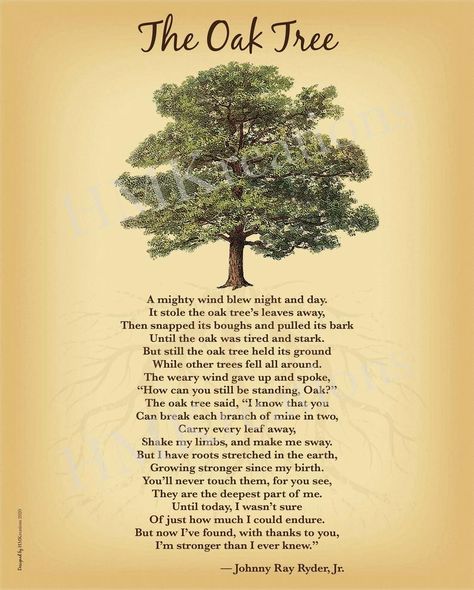 Oak Tree Poem, Fashion Core, Citation Nature, Forward Quotes, Tree Poem, Tree Quotes, Now Quotes, Tree Faces, Forest Creatures