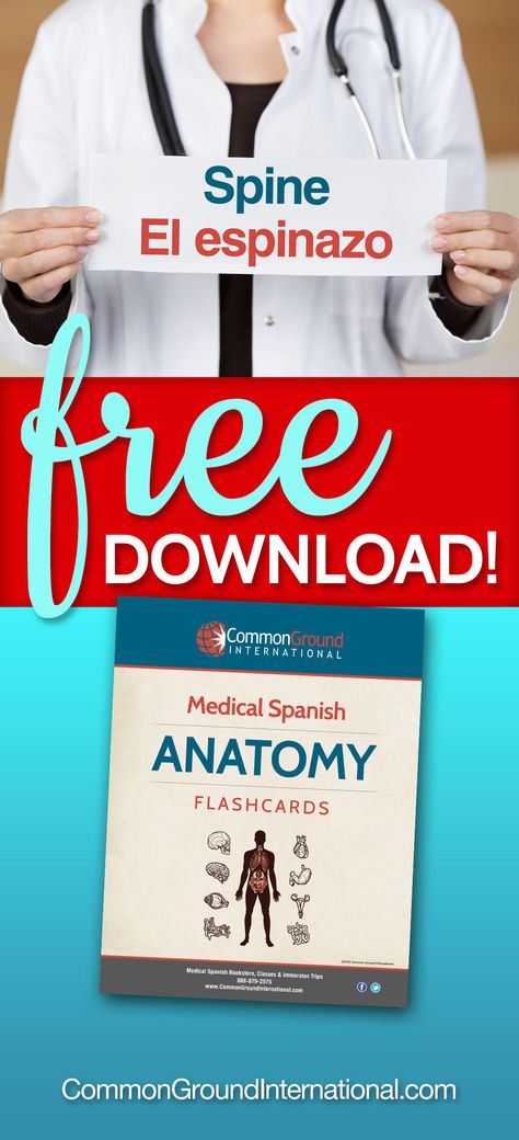 Medical Terminology In Spanish, Body Parts In Spanish, Medical Spanish, Physicians Assistant, Spanish Study, Conversational Spanish, Nursing School Supplies, Spanish Flashcards, Anatomy Flashcards