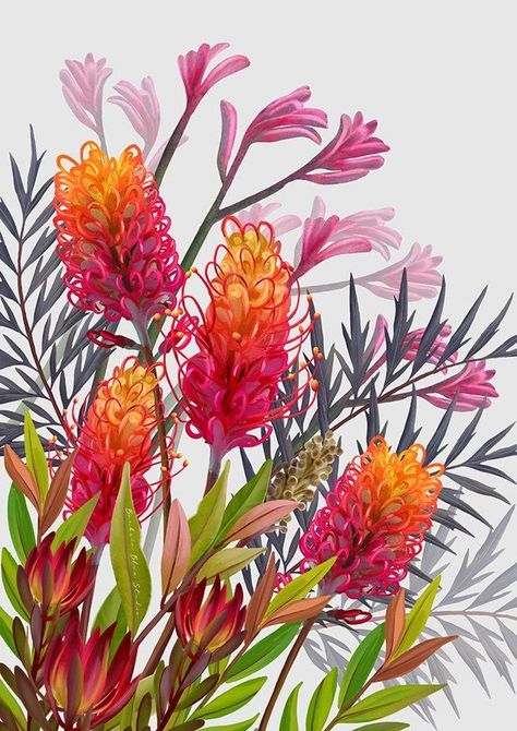 Australian Art Grevillea Art Canvas Print Australian Bush - Etsy Australia | acrylic painting food
, kitchen artwork painting
, kitchen artwork painting
, acrylic painting kitchen art
, oil painting food
, kitchen paintings art wall decor
, kitchen paintings art wall decor bohemian
, fruit wall art
, fruit art print
, fruit painting prints
, abstract fruit painting
, fruit canvas painting Bush Landscape, Australian Decor, Australian Natives, Art Alevel, Felt Wall, Australian Flowers, Australian Landscape, Australian Native Flowers, Room Artwork