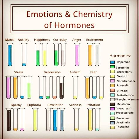 Occultus Soul on Instagram: “Does this make sense to you? Our brain is a wild mix of chemicals!!! Use them wisely! Moderate your moods✌💥Follow➡️ @futureworldhealing for…” Chemical Chart, Brain Healing, Health Posts, Brain Chemicals, Life Circle, Psychology Notes, Brain Facts, Brain Chemistry, Future World