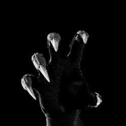 Claw Aesthetic, Sharp Aesthetic, Monster Aesthetic, Sharp Claws, Character Aesthetic, Larp, Dark Art, Dark Aesthetic, Character Inspiration