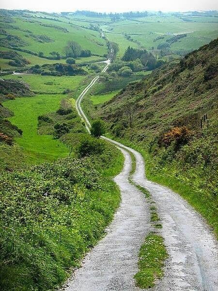 I did alot of traveling around in buses visiting different tourist attractions when in Ireland, but I would have loved to just walk around in the country and take in the scenery! I HAVE to go back! Dark Hedges, Cork Ireland, Green Hills, Ireland Travel, Albania, Dream Vacations, Travel Dreams, Budapest, Wonders Of The World