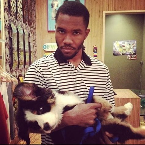 Frank Ocean Album, Frank Ocean, A Man, Image Search, Puppies, Orange, Design