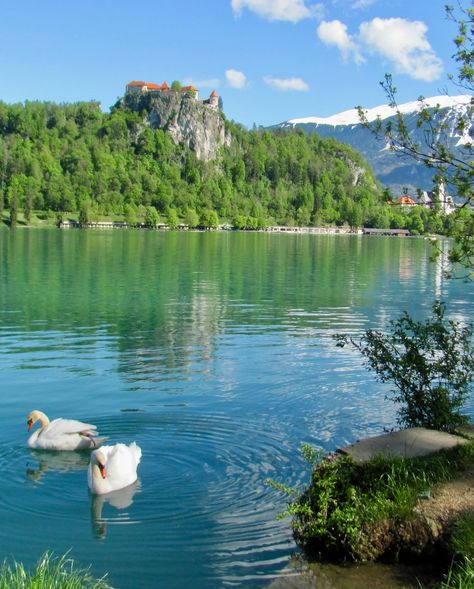 04.22.2024 ~ beautiful lake bled 🇸🇮 Lake Bled Aesthetic, Lake Bled, Travel Bug, Travel Bugs, 2024 Vision, Beautiful Lakes, Hot Days, Slovenia, Mother Earth