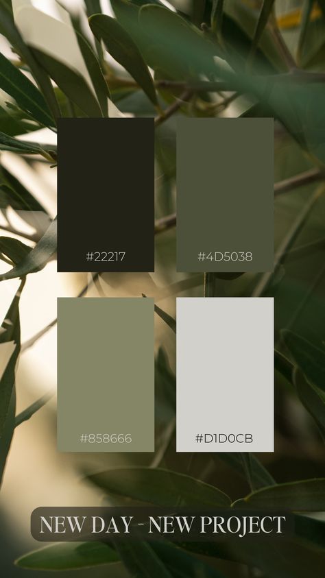 Earthy colour inspo and Hex codes from canva Forest Green Pallet Colour Palettes, Canva Hex Codes, Green And Neutral Color Palette, Colour Palette Hex Codes, Earthy Palette, Olive Green Palette, Earthy Colour Palette, Earthy Branding, Hazel Color