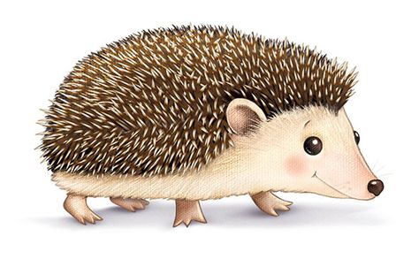 Children Book Illustration Watercolor, Hedgehog Clipart, Hedgehog Cartoon, Art School Portfolio, Hedgehog Colors, Hedgehog Drawing, Hedgehog Illustration, Fairy Illustration, Hedgehog Art