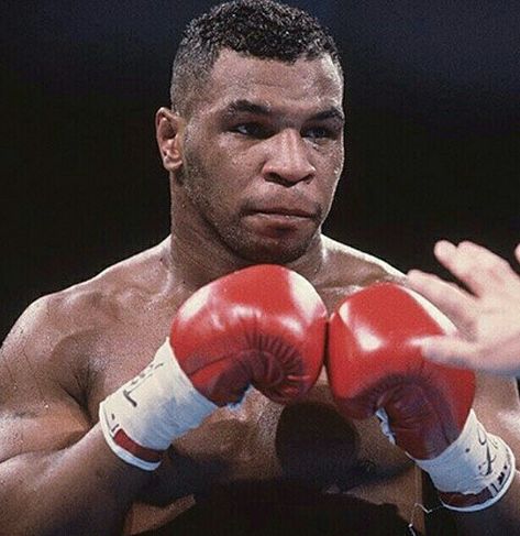 Mike Tyson Mike Tyson Pfp, Mike Tyson Memes, Mark Tyson, Mike Tyson Training, Iron Mike Tyson, Mike Tyson Boxing, Muhammad Ali Boxing, Arnold Schwarzenegger Bodybuilding, Schwarzenegger Bodybuilding