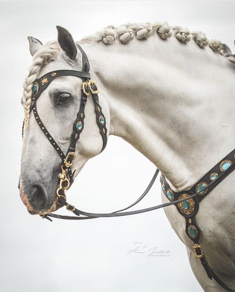 Legolas Aesthetic, Aesthetic Lord Of The Rings, Medieval Horse, Horse Braiding, Lusitano Horse, Horse Games, Horse Costumes, Horse Armor, Fantasy Horses