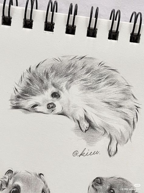 Pencil Sketch Of Animals, Cool Animal Sketches, Sketches Pencil Animals, Cute Fox Sketch, How To Sketch A Horse, Panda Sketch Pencil Art, Sketchbook Ideas Animals, Realistic Sketches Nature, Amazing Drawings Pencil