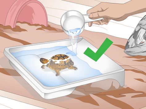 How to Create an Indoor Box Turtle Habitat. Box turtles are best kept outdoors where they have a lot of roaming area. However, that doesn't mean that you can't provide your box turtle with a great home if you live somewhere that can't have... Wood Turtle Habitat, Turtle Habitat Ideas Indoor, Tartaruga Habitat, Box Turtle Habitat, Turtle Traps, Turtle Enclosure, Turtle Terrarium, Red Eared Slider Turtle, Eastern Box Turtle