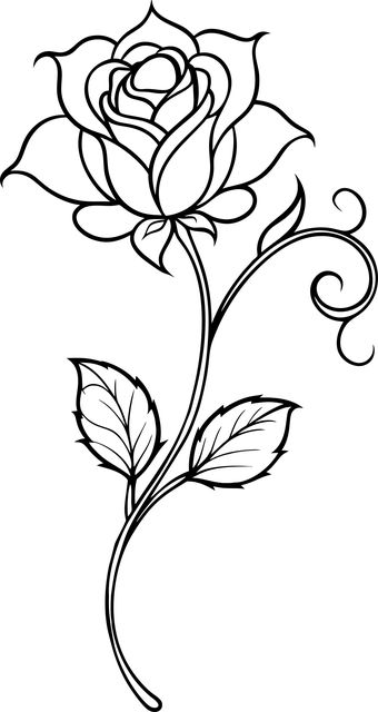 Simple Rose Drawing Outline, Rose Plant Drawing, Rose Flower Outline, Rose With Stem Drawing, Rose With Stem Outline, Mandala Rose, Flower Pattern Design Prints, Rose Flower Wallpaper, Flower Pattern Design