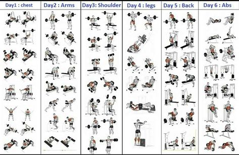 Facts Of Training on Twitter: "… " Workout Schedule For Men, Gym Workout Schedule, 5 Day Workout Plan, 5 Day Workout Routine, Exercise Chart, 5 Day Workouts, Teen Workout Plan, Fitness Studio Training, Workout Plan For Men