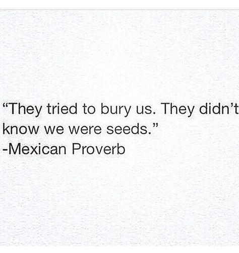 Mexican pride Roots Quotes, Mexican Proverb, Mexican Pride, Pride Quotes, Chicano Love, Mexican Memes, Empowerment Quotes, Feb 2, Just Smile