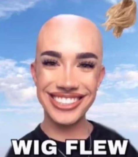 Charles Meme, Funny Wigs, Funny Pix, Crazy Funny Pictures, Goofy Pictures, James Charles, Extremely Funny Jokes, Very Funny Pictures, Funny Profile Pictures