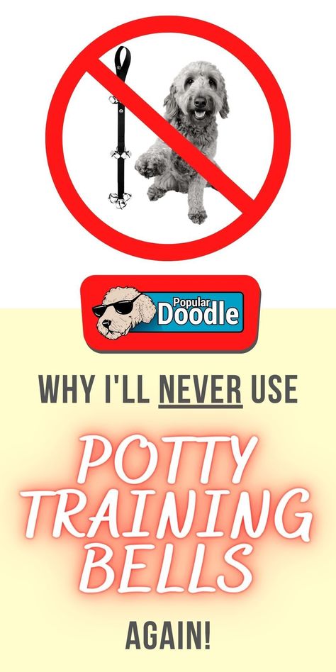 While they sound good in theory, many pet parents like myself quickly discover that potty training bells for dogs aren’t as great of a concept in reality.  My frustration boils down to six main issues.  I’m guessing that if you’ve tried using puppy potty training bells before, you’ll be all too familiar with these…  #dogtraining #puppytraining #pottytrainingpuppy #puppytraining Diy Potty Bells For Dogs, Potty Bell For Dogs, Dog Bells For Door Potty Training Diy, Potty Training Puppy With Bell, Bell Training Puppy Tips, Dog Bells For Door Potty Training, Bell Training Puppy, Maltipoo Training, Goldendoodle Training