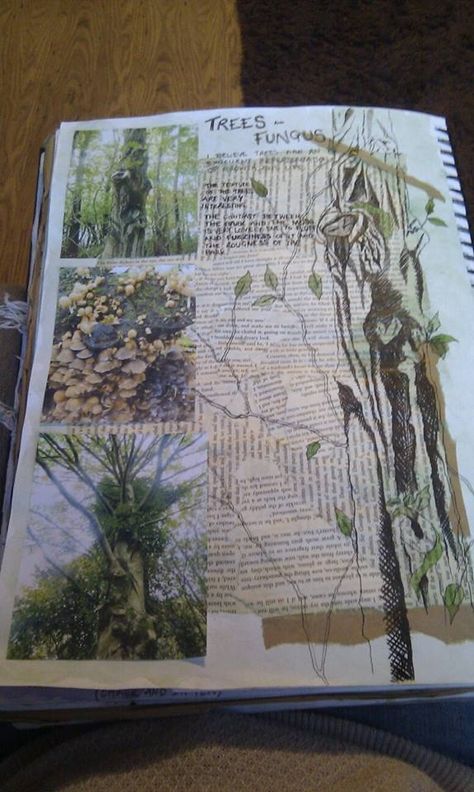 Trees and fungus. Gcse Art Sketchbook Trees, Drawing Ideas Trees, Natural Forms Gcse, Gcse Sketchbook, Forest Journal, Sketchbook Layout, Textiles Sketchbook, Natural Form Art, Art Alevel