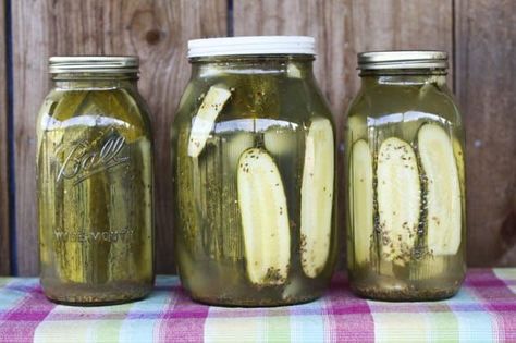 Claussen Pickles, Kosher Dill Pickles, Sour Pickles, Canning Pickles, Homemade Pickles, Garden Recipes, Pickling Recipes, Fermented Foods, Canned Food