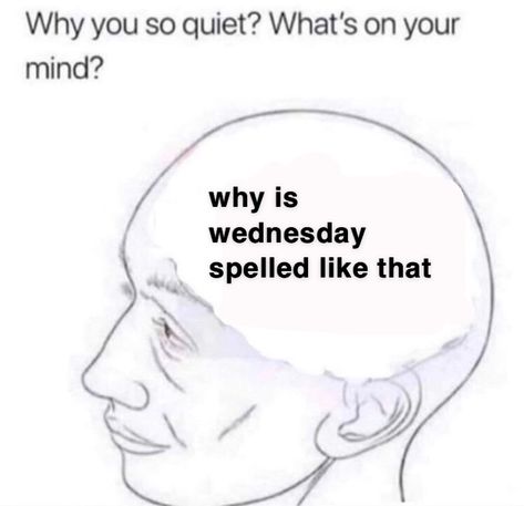 Why You So Quiet Whats On Your Mind, You're So Quiet, Whats On Your Mind, Facebook Memes, Meme Template, Make Me Smile, Thinking Of You, Mindfulness, Memes