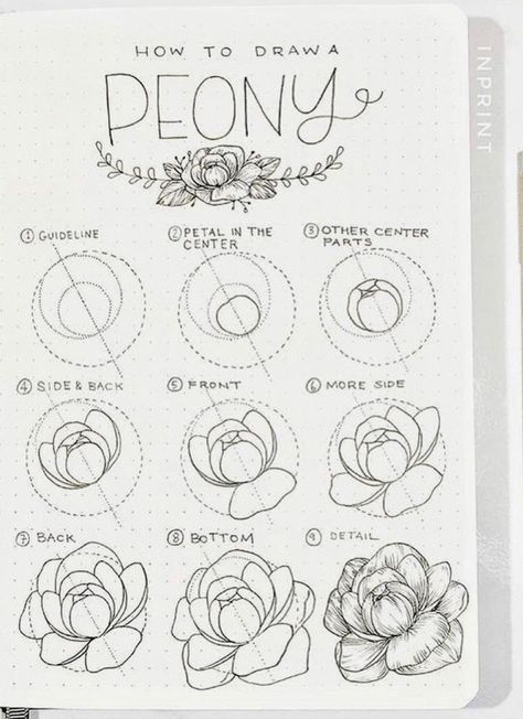 34 Best Step by Step Flower Doodle Tutorials for 2020 - atinydreamer Ako Kresliť, Floral Drawings, Peony Drawing, Botanisk Illustration, Flower Doodle, Flower Drawing Tutorials, Amy Brown, Flower Art Drawing, Canvas Painting Ideas