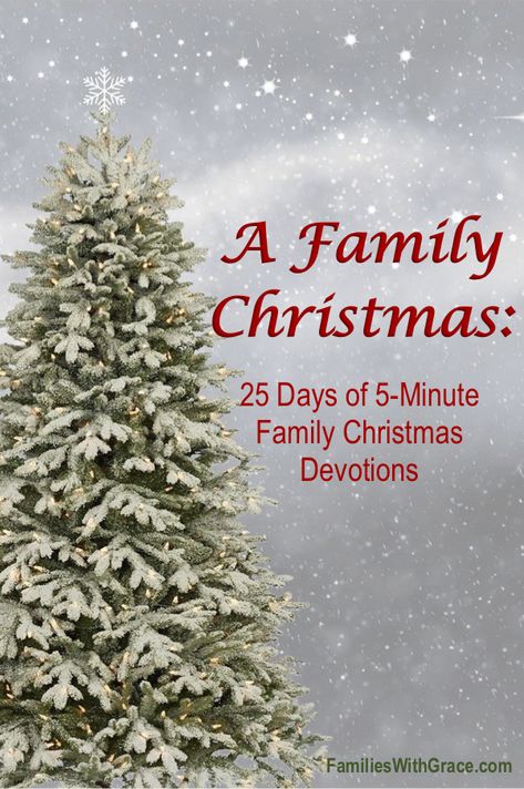 This family Christmas devotion book will become part of your family's tradition with 25 days of 5-minute devotions. #DevotionBook #FamilyDevotionBook #ChristmasDevotionBook #Giveaway via @FamiliesWithGrace Christmas Devotions, Devotions For Kids, Christmas Help, Christmas Devotional, Advent Devotionals, Christmas Books For Kids, Traditions To Start, Family Devotions, Christmas Week