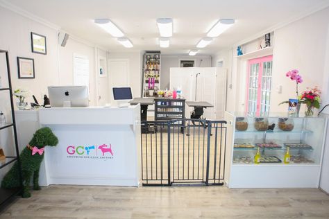 Salon Services - Groomington Coat Factory Dog Grooming Salon Entrance, Grooming Dogs Salon, Dog Groomer Salon Ideas, Pet Grooming Salon Ideas, Grooming Shop Ideas, Pet Grooming Salon Ideas Design, Grooming Salon Ideas Design, Grooming Salon Ideas, Petshop Design