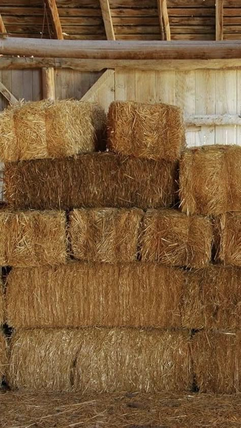 Barn Interior, Farm Photography, Hay Bales, Summer Lake, Vinyl Backdrops, Central Oregon, Printed Backdrops, Autumn Harvest, Old Barn