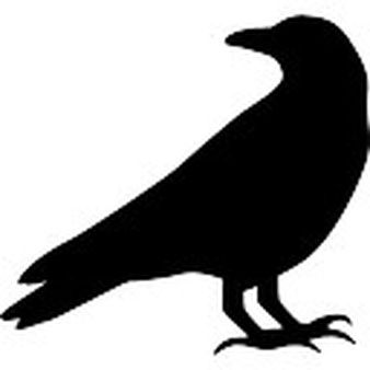 Svg Images For Cricut, Images For Cricut, Crow Silhouette, Vogel Silhouette, Halloween Raven, Bird Stencil, Pumpkin Template, Halloween Templates, Crow Bird