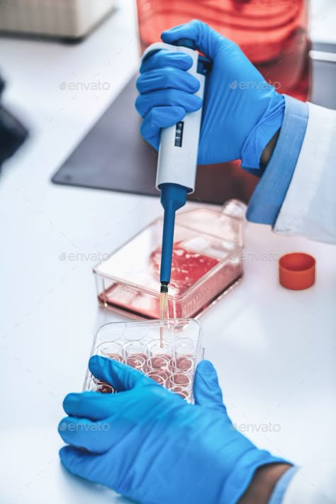 Biotechnology Laboratory, Medical Biotechnology, Lab Work Aesthetic, Cell Culture Lab, Genetic Laboratory, Laboratory Medicine, Biology Laboratory, Lab Work, Science Laboratory