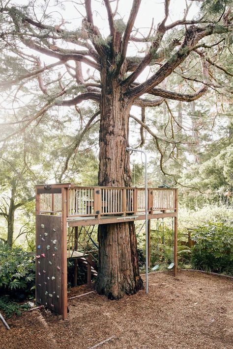 Playground Landscaping, Tree Fort, Tree House Diy, Playground Ideas, Tree House Kids, Diy Playground, Outdoor Play Area, Kids Outdoor Play, Tree House Designs