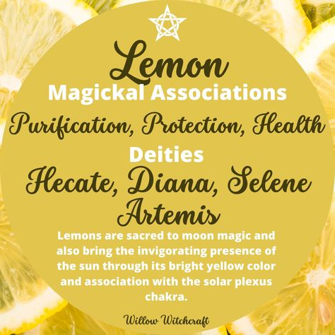 Lemon Meaning Witchcraft, Lemon Witchcraft Uses, Lemon Witchcraft, Lemon Magical Properties, Kitchen Witchcraft Recipes, Fruit Meaning Witchcraft, Lemon Symbolism, Fruit Spiritual Meaning, Fruit Magical Properties