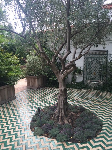 Outdoor Tile Patio, Moroccan Garden, Cozy Garden, Garden Tiles, Garden Floor, Patio Tiles, Moroccan Tiles, Patio Interior, Backyard Garden Design