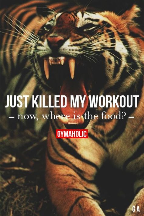 Boom, Just Killed My Workout Fitness Revolution -> http://www.gymaholic.co/ #fit #fitness #fitblr #fitspo #motivation #gym #gymaholic #workouts #nutrition #supplements #muscles #healthy Kotetsu Kaburagi, Big Tiger, Cheetahs, A Tiger, Wallpapers Iphone, Leopards, Beautiful Cats, 귀여운 동물, Big Cats