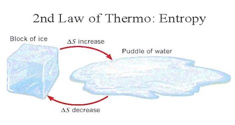 Evolution defies the law of entropy (2nd law of thermodynamics). Thermodynamics Physics, Laws Of Thermodynamics, Law Of Thermodynamics, Physics Laws, Ap Chem, Neet Notes, Second Law Of Thermodynamics, General Chemistry, Chemistry Study Guide