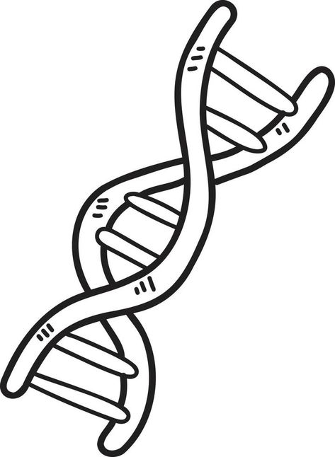 Dna Illustration, Adobe Stock, Stock Vector, Hand Drawn, How To Draw Hands, Tattoos