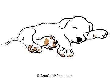 Drawing Sleeping, Fall Leaves Drawing, Sleeping Puppy, Sleeping Drawing, Angel Illustration, Turtle Drawing, Sleeping Animals, Puppy Drawing, Bear Drawing